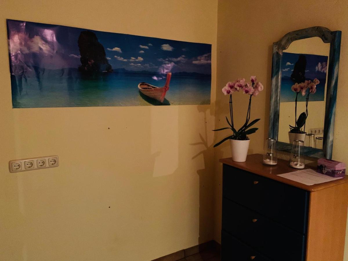 Maja Ferienwohnung Goddelsheim Buitenkant foto